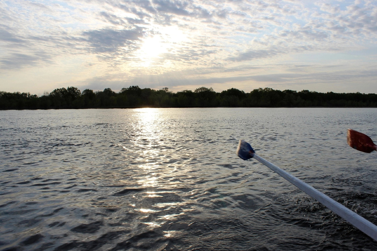 Волга, вёсла,красота. Фото автора. 