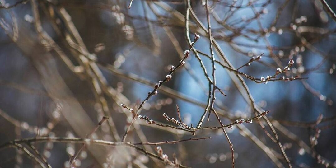 Малооблачно и до +3°C ожидается в Нижнем Новгороде 10 марта