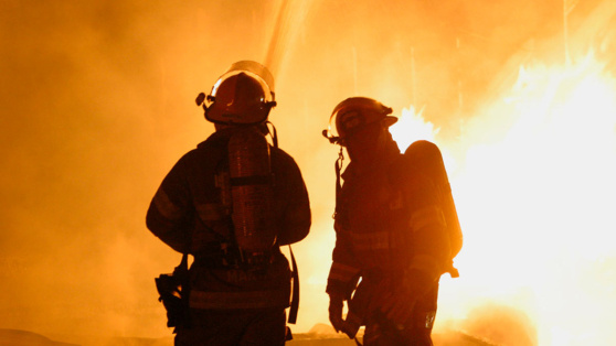    Четыре человека погибли при пожаре в тепличном комплексе в Подмосковье ©Jack Dagley Photography / Shutterstock / Fotodom