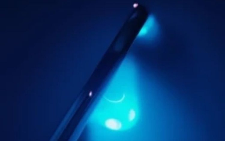    Прогрессивные светоактивируемые семена становятся частью коммерческого семеноводства