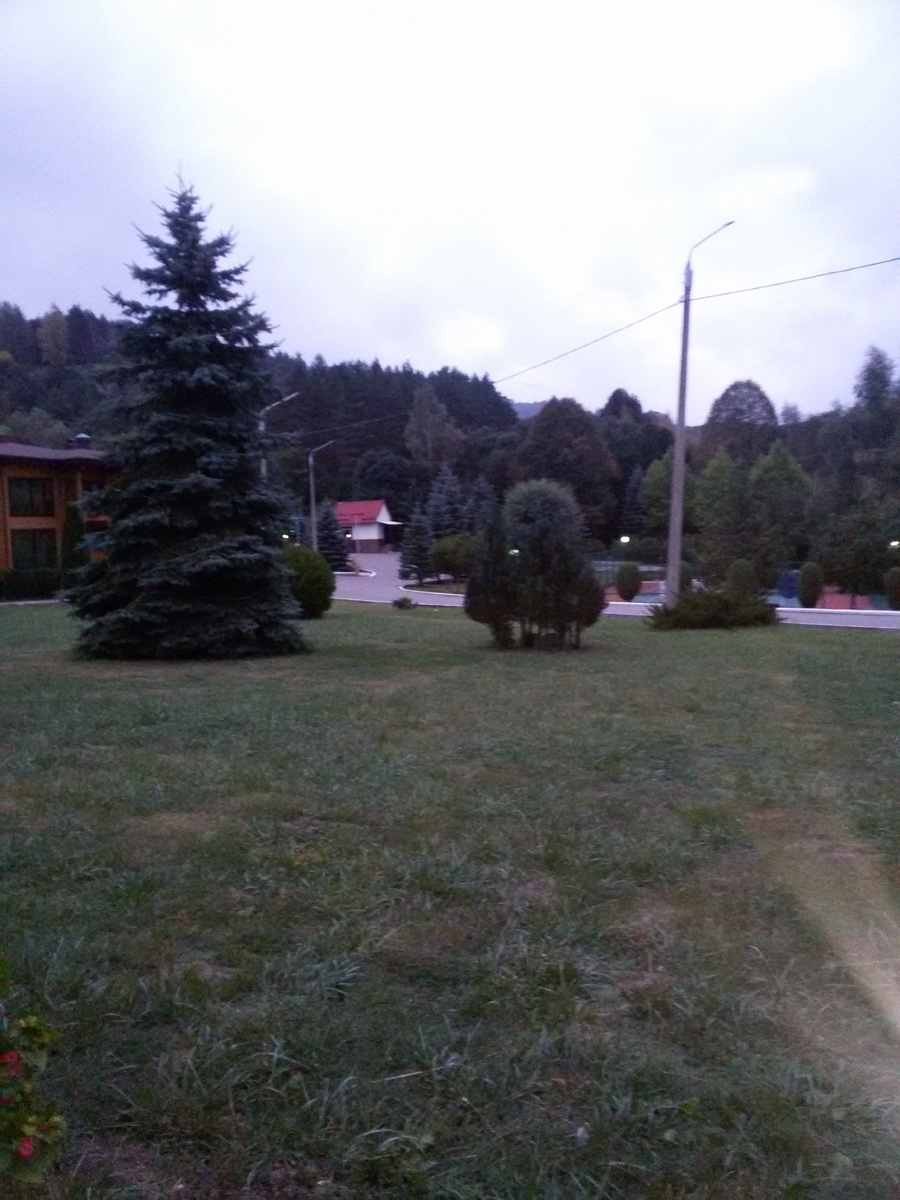 Это территория санатория.