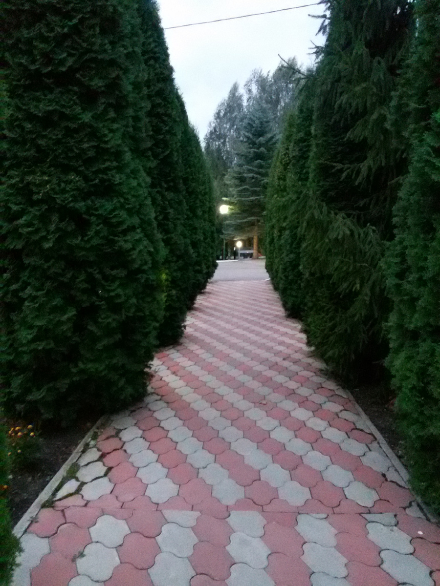 Территория санатория.