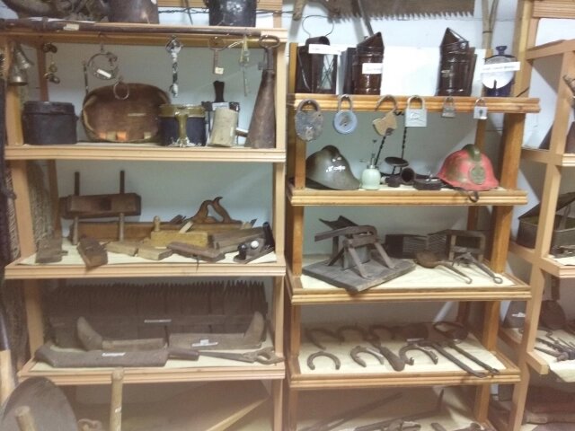    Фото:  АиФ/ Ольга Лобзина