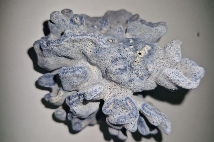    Фото Сибирского таможенного управления