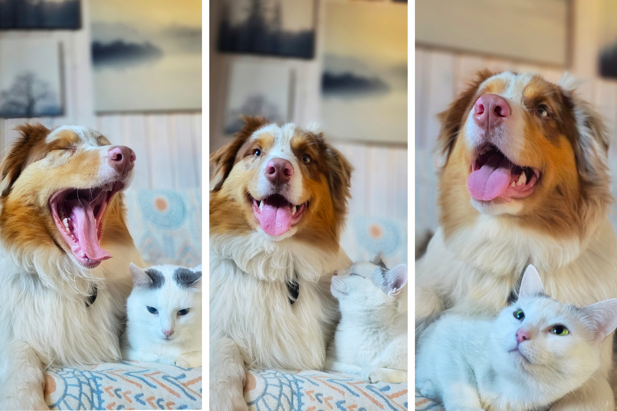 Утро наше красивое