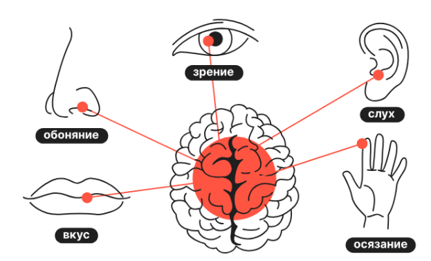 Как перехитрить свое тело? 6 лайфхаков для здоровья
