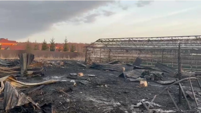    ГСУ СК России по Московской области