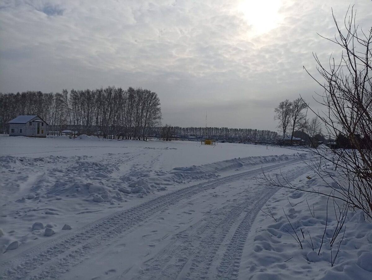    Фото: пресс-служба прокуратуры Омской области