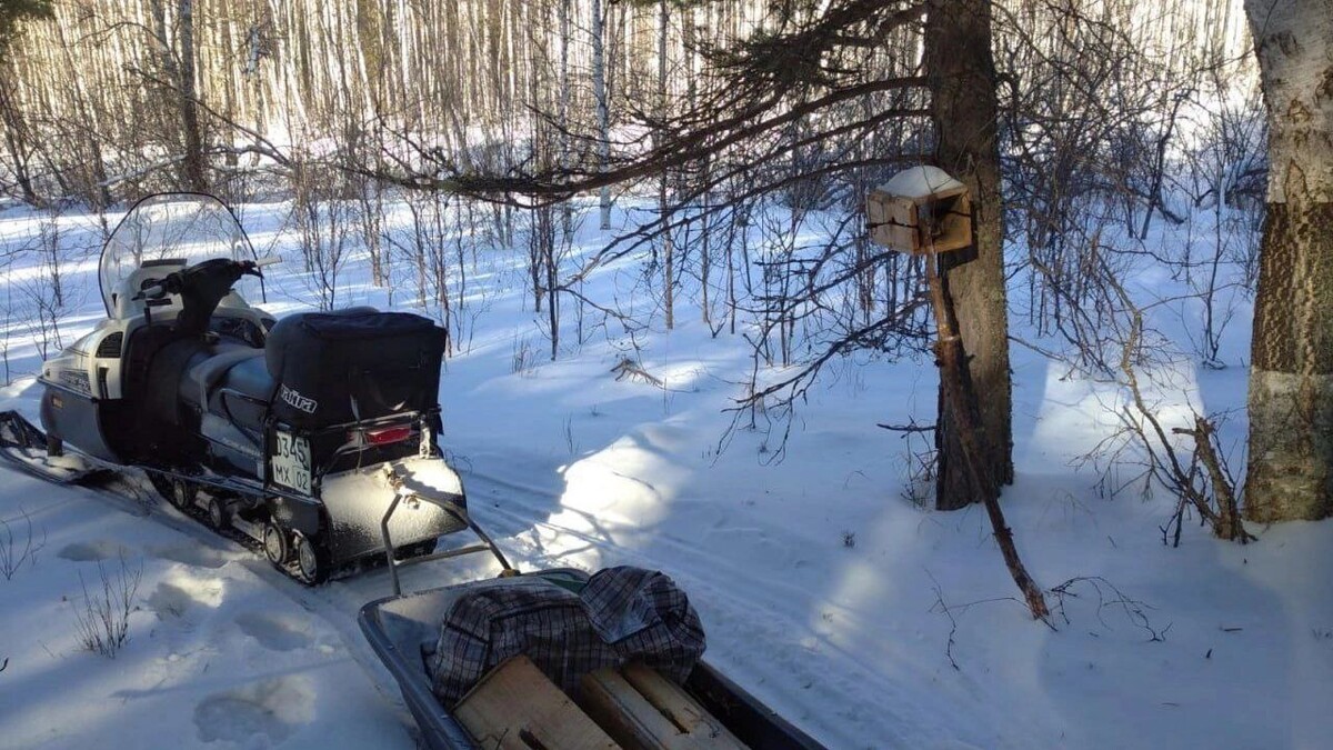     Источник: Минприроды РБ