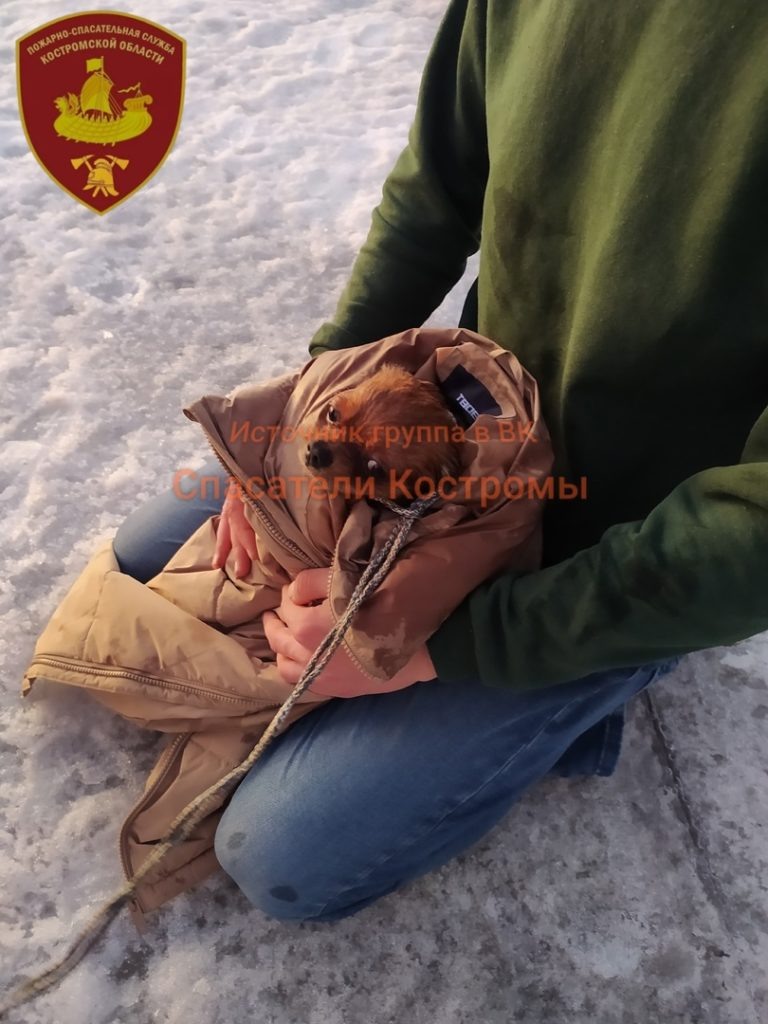    СПАСАТЕЛИ Костромы Пожарно-спасательная служба.