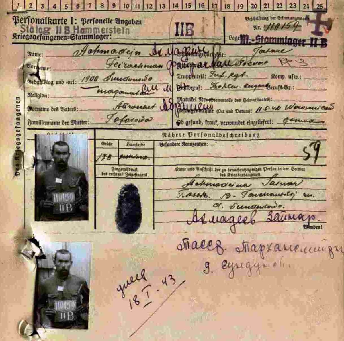 
Фото: предоставлено автором