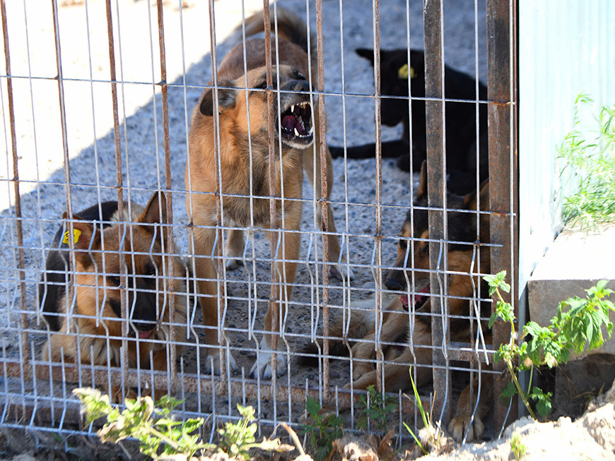 Фото: kzn.ru, t.me/TLarionova, t.me/ayratfarrahov