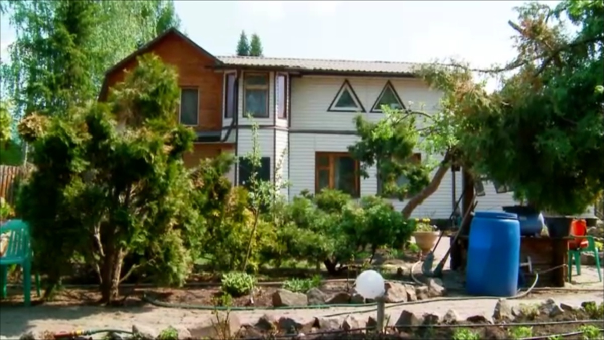 кадр из программы "Вечерний хэштег"