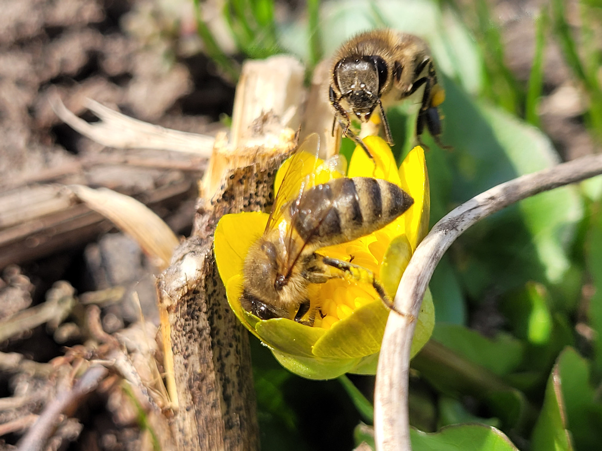 Весна 2024 года