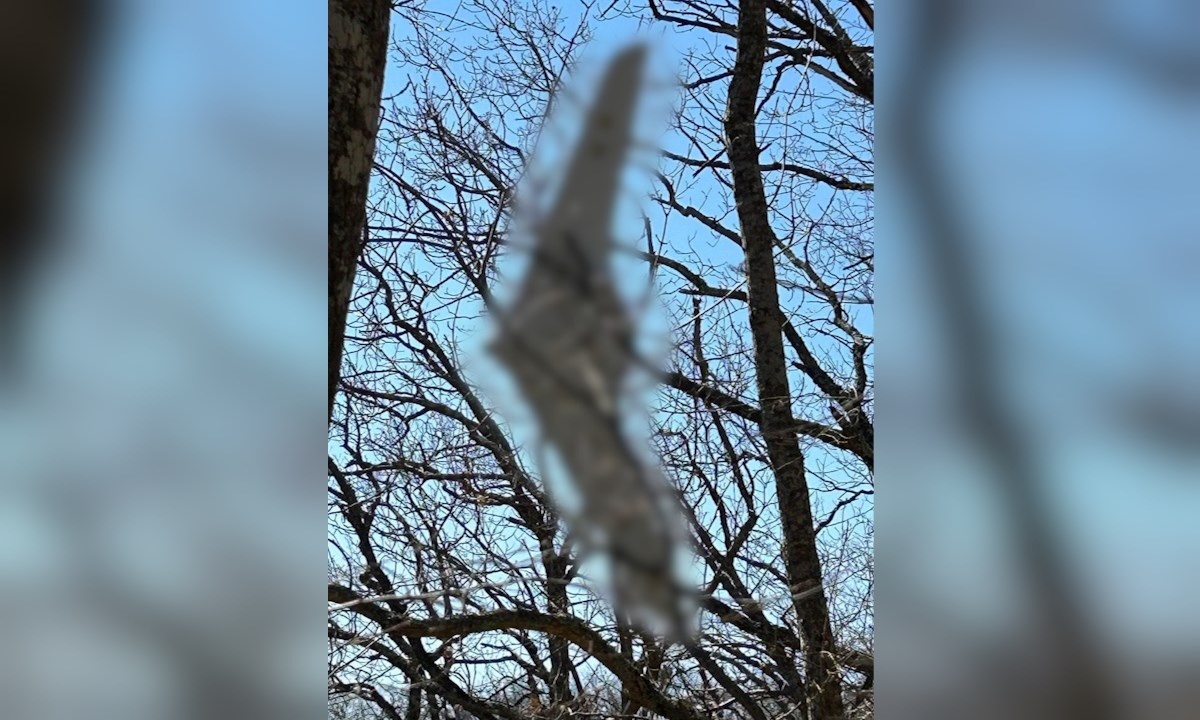    Фото t.me/nvrsk_new