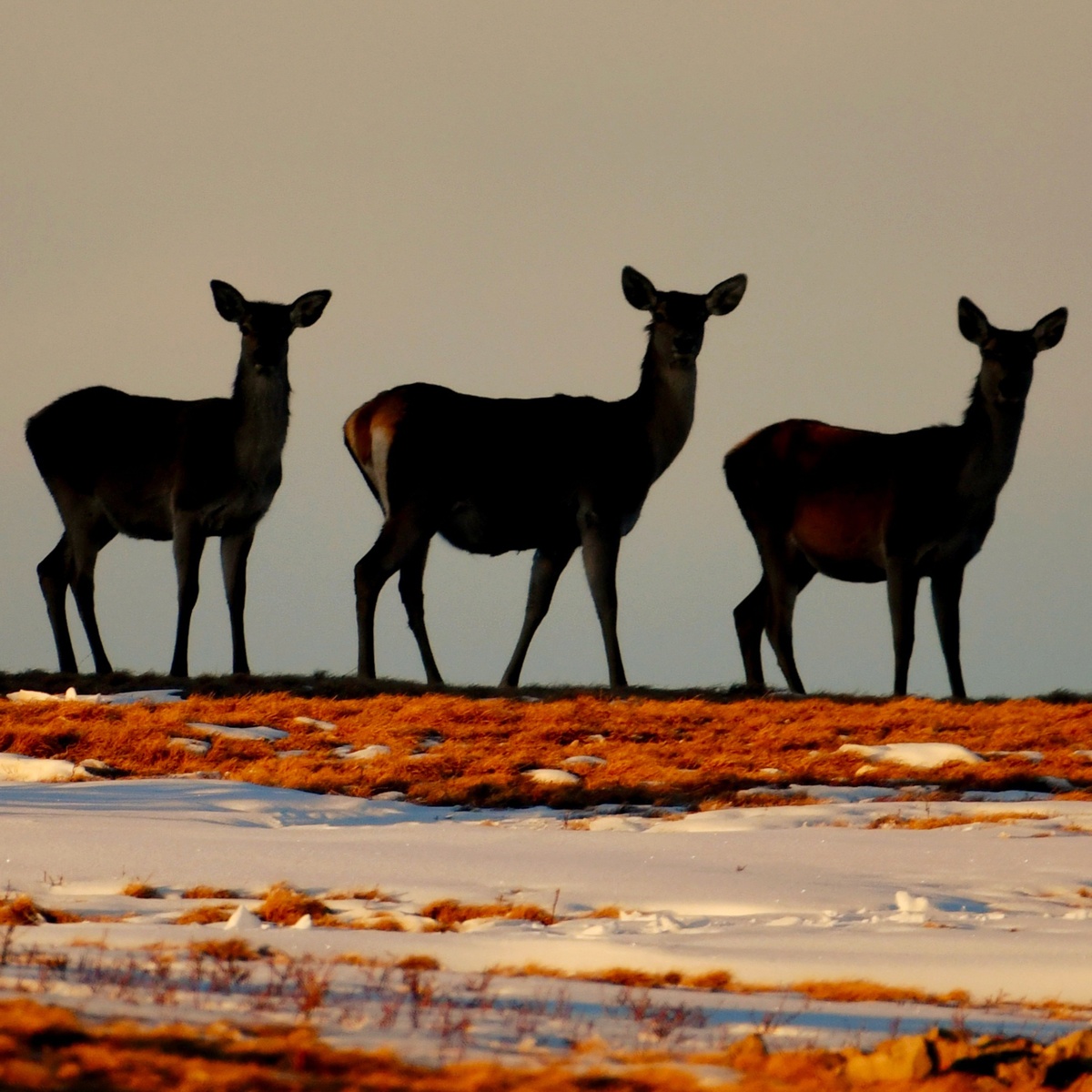 Фото: Юлия Балхатинова 