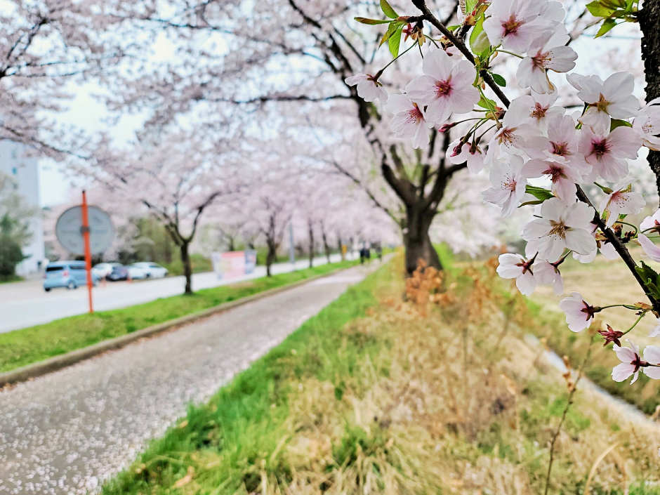 Источник: visitkorea