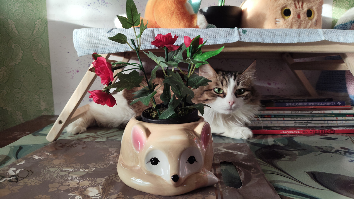 фото автора