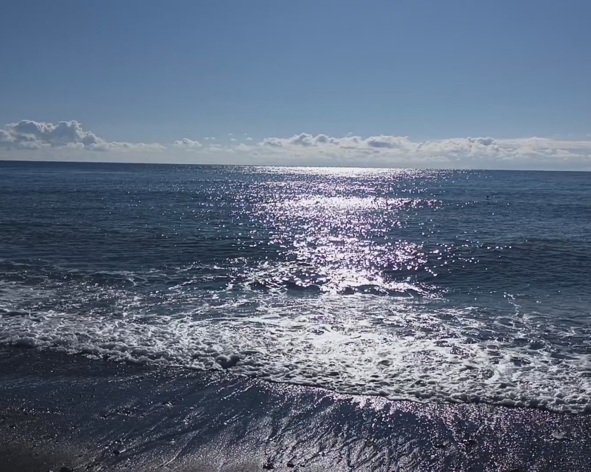 Адлер, пляж "Мандарин", март 2025 г.