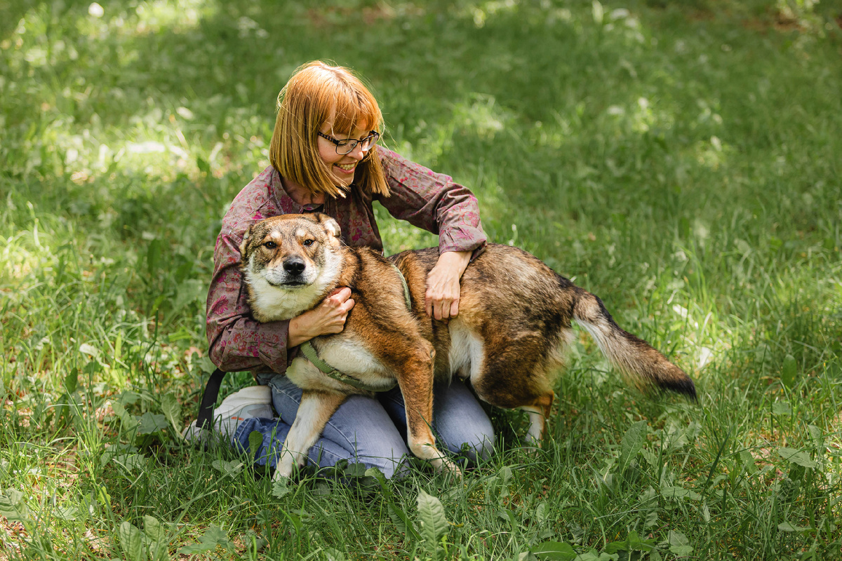 Очаровательная Челси ищет дом, но даже в приюте не забывает про важность обработки от клещей
