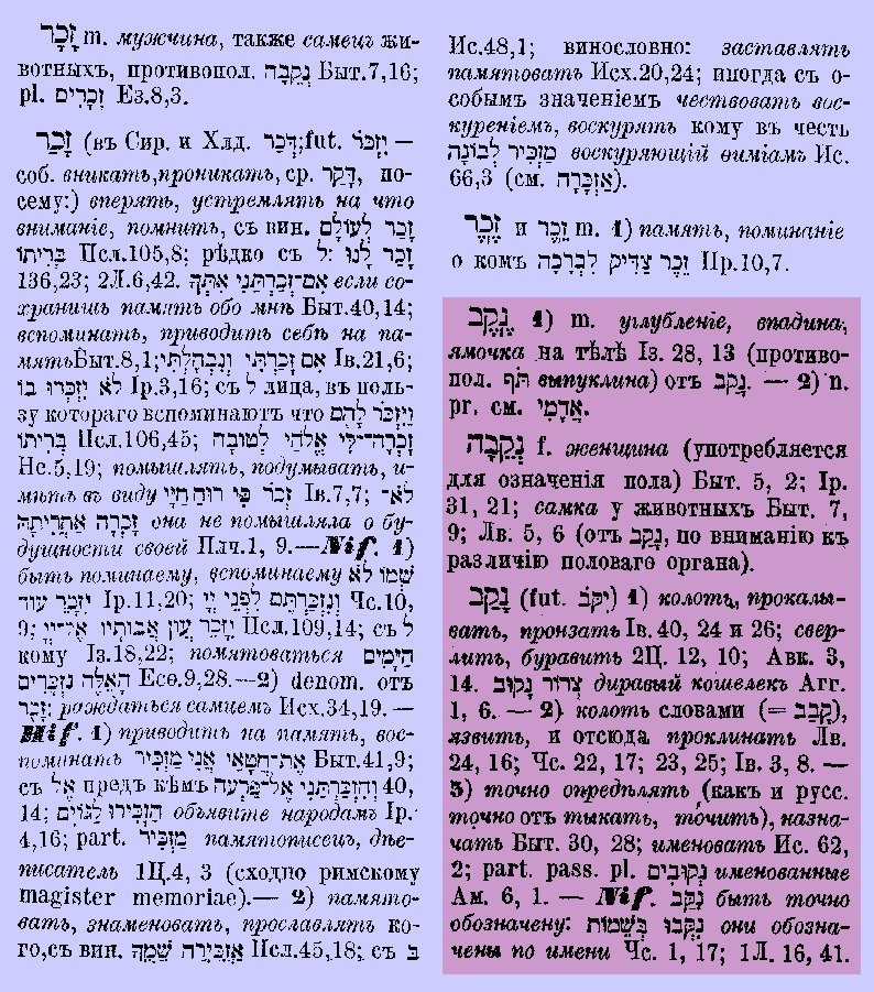 "мужского пола и женского пола" - זָכָר וּנְקֵבָה заxа́р унекэйва́ - букв. самец и самка. В обобщённом значении: мужчины и женщины.
Слова «захар» и «некэва» употребяются в Танахе для обозначения пола (Быт 7:9, Лев 12:7).

© «Самец» — זָכָר заха́р — символически ассоциируется с высшим, активным, творческим началом: от того же глагола заха́р/проникать, вникать, что и זֵכֶר зэ́йхэр память — о разумной деятельности человека. «Самка» — נְקֵבָה некэва́ - символически ассоциируется с низшим, материальным, условно пассивным началом: от того же глагола нака́в пронзать, определять, что и נֶקֶב нэ́кэв нанизывание, углубление, — о предмете углубления, проникания, постижения с нанизыванием фактического материала. (См. Быт 3:12 и Быт 4:1.)