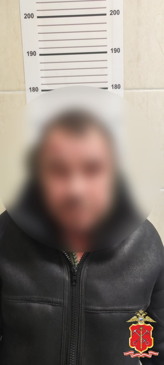    Фото: ГУ МВД по Петербургу и Ленобласти