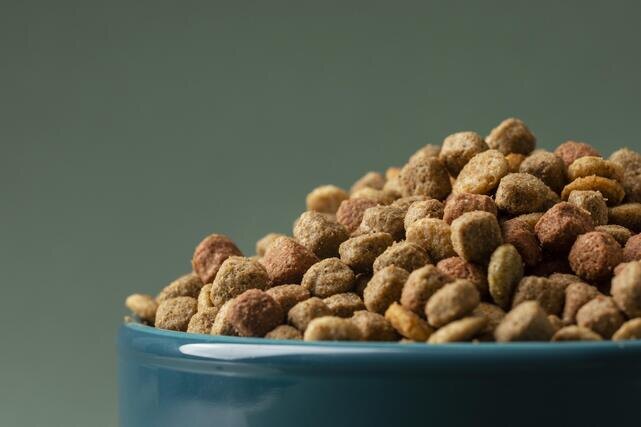 Фото: freepik.com 