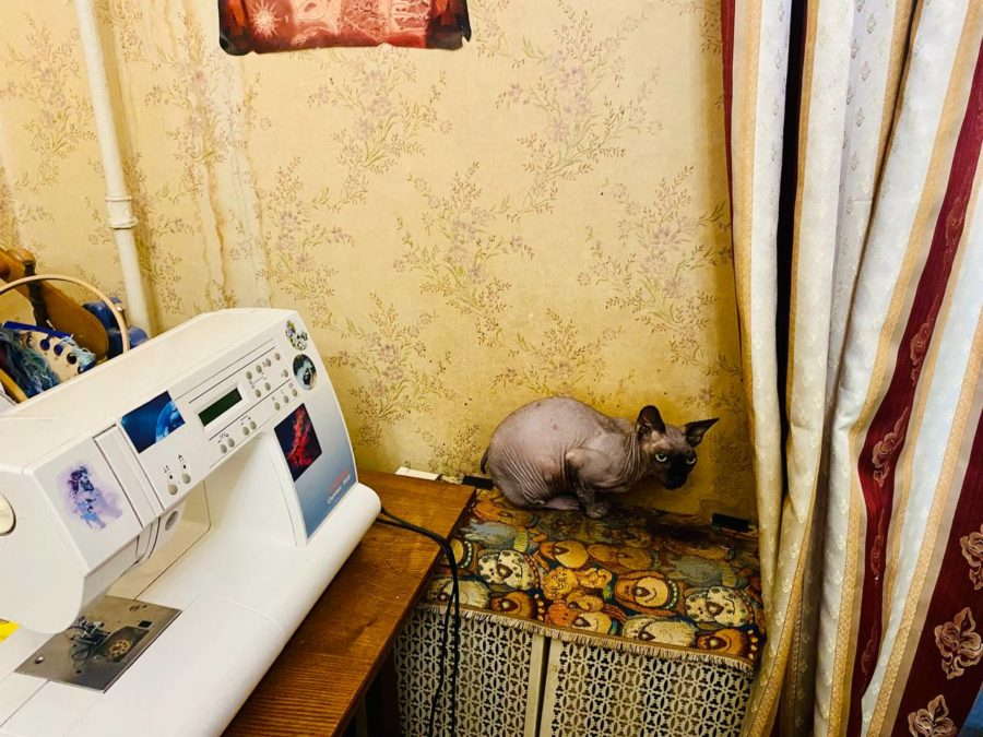 Фото: Новая вкладка
