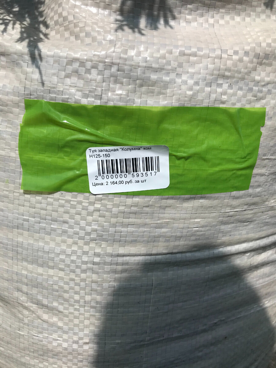 2164 руб. за 1.45 м. красавицу. Не цена, а сказка !