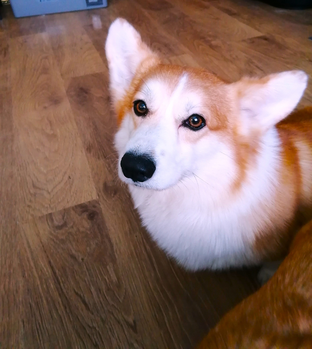 Фотография с телефона.