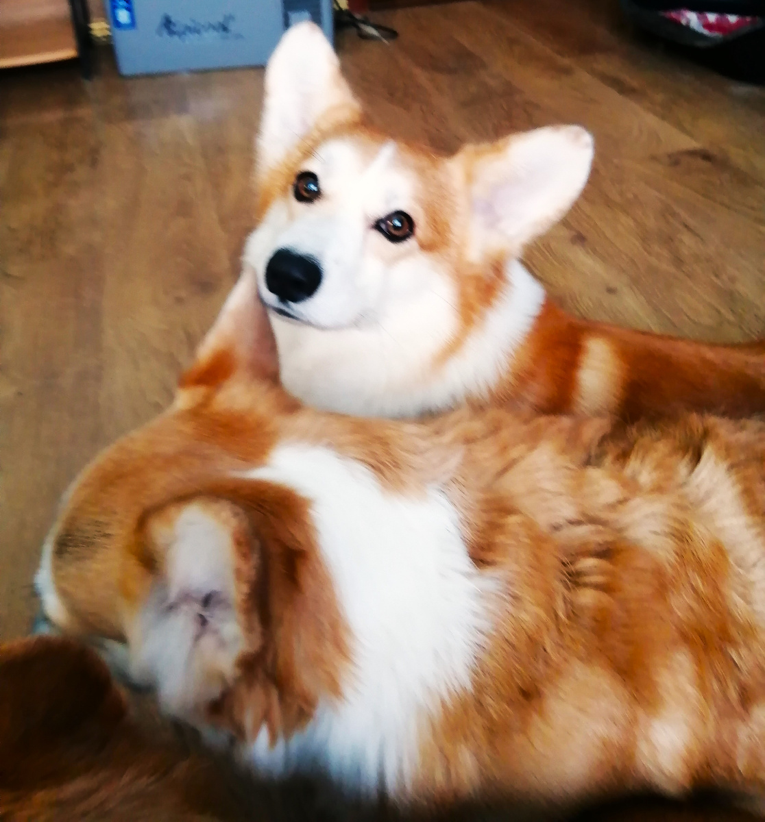 Фотография с телефона.