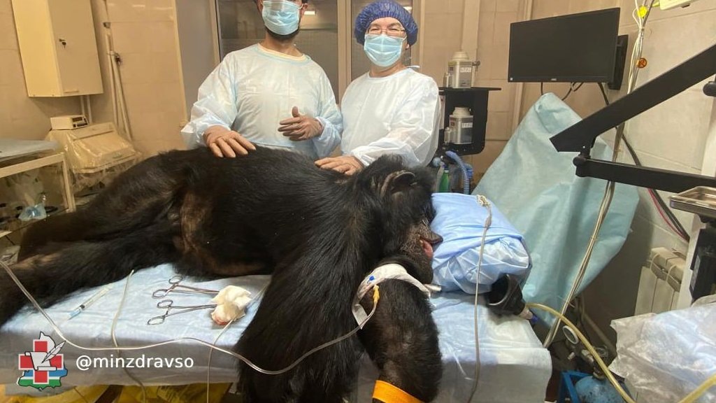    Фото: минздрав Свердловской области