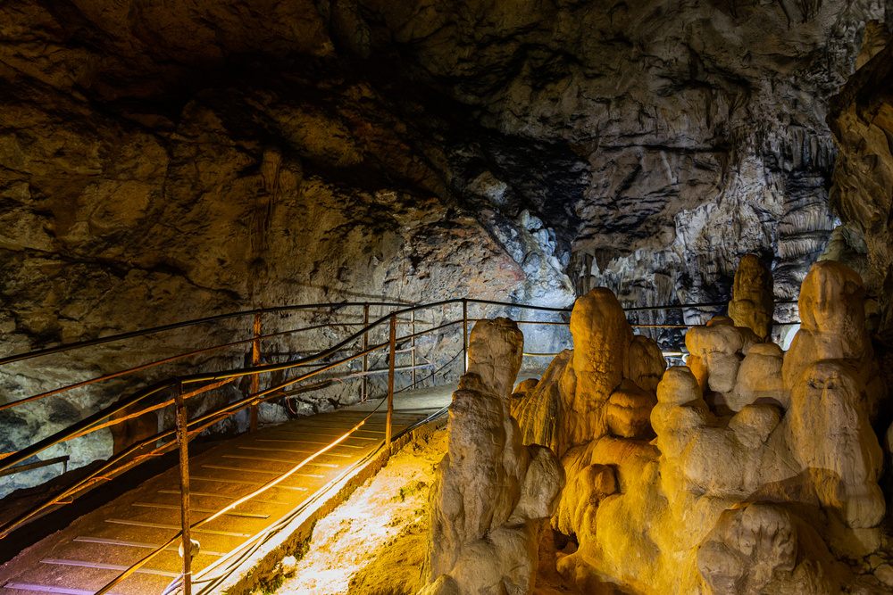 Фото: Mikhail Gnatkovskiy / shutterstock.com