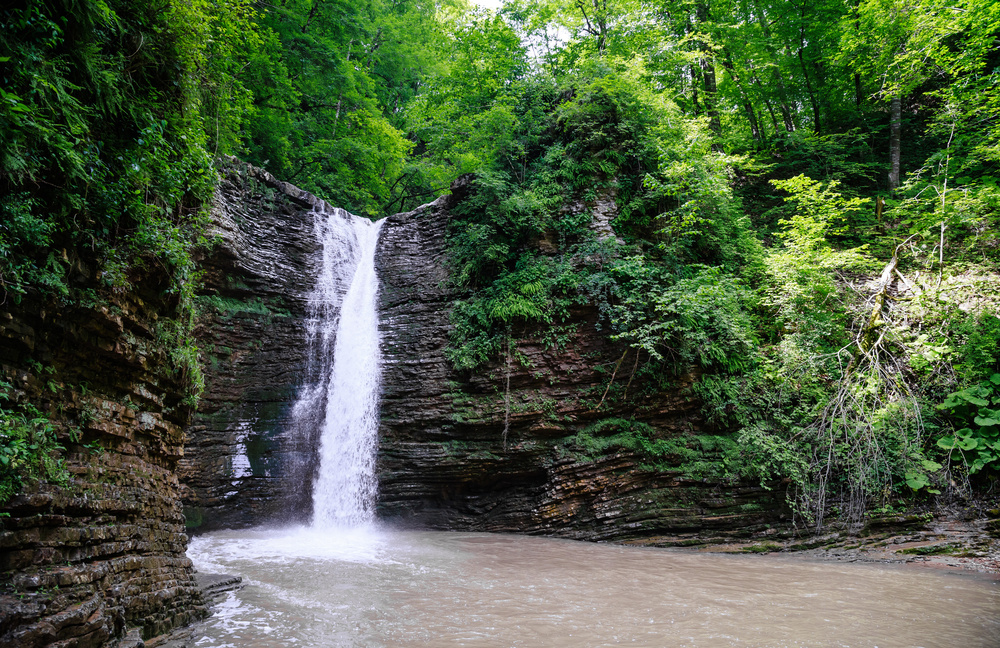 Фото: Igor Lushchay / shutterstock.com