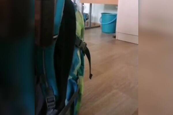    Видео с вооруженным нападением на школу в Оренбурге назвали фейком. Комментарии полиции, мэрии и ФСБ