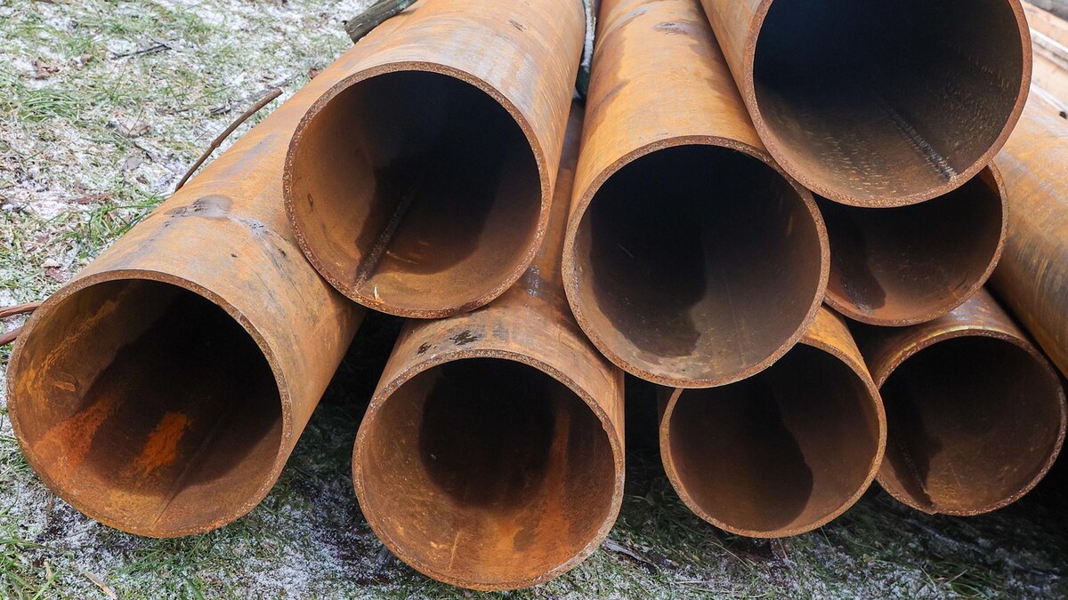    Фото: Belkin Alexey/globallookpress.com