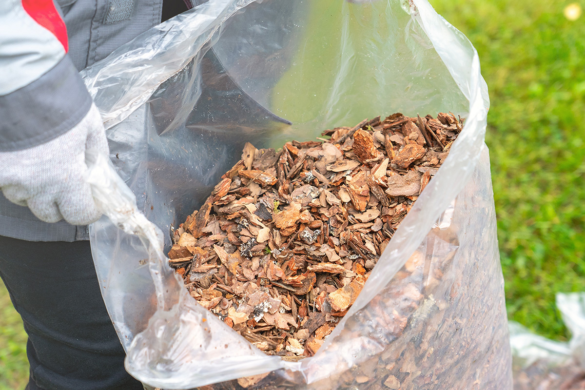 AntonSAN / Shutterstock / FOTODOM📷Некоторые виды мульчи быстро разлагаются, выделяя питательные вещества в почву, другие служат дольше и требуют меньшего ухода