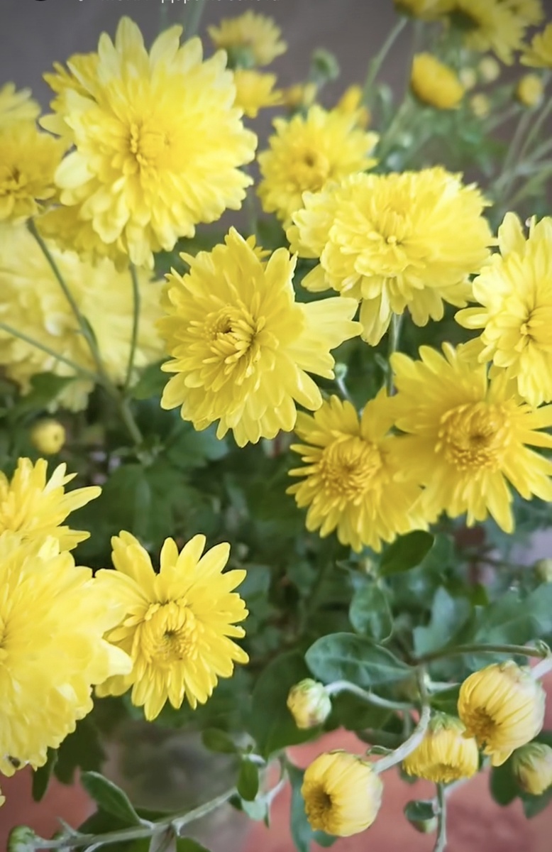 Фото автора канала