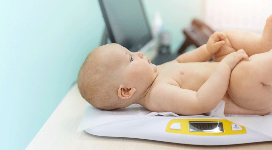 Image: Gorloff-KV | Shutterstock