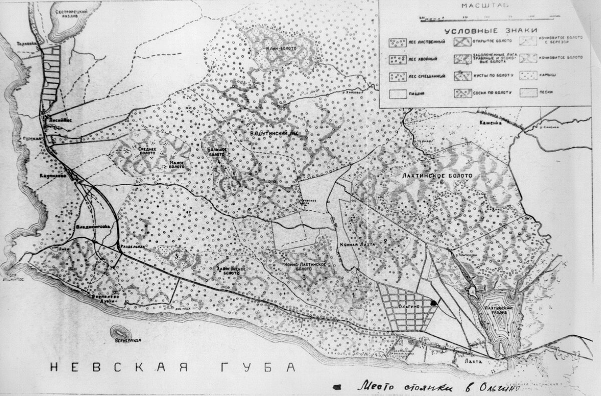 Карта Северного побережья Невской губы и района деятельности Лахтинской Экскурсионной Станции. Карта составлена Т.Л.Ефимовой в1921г.