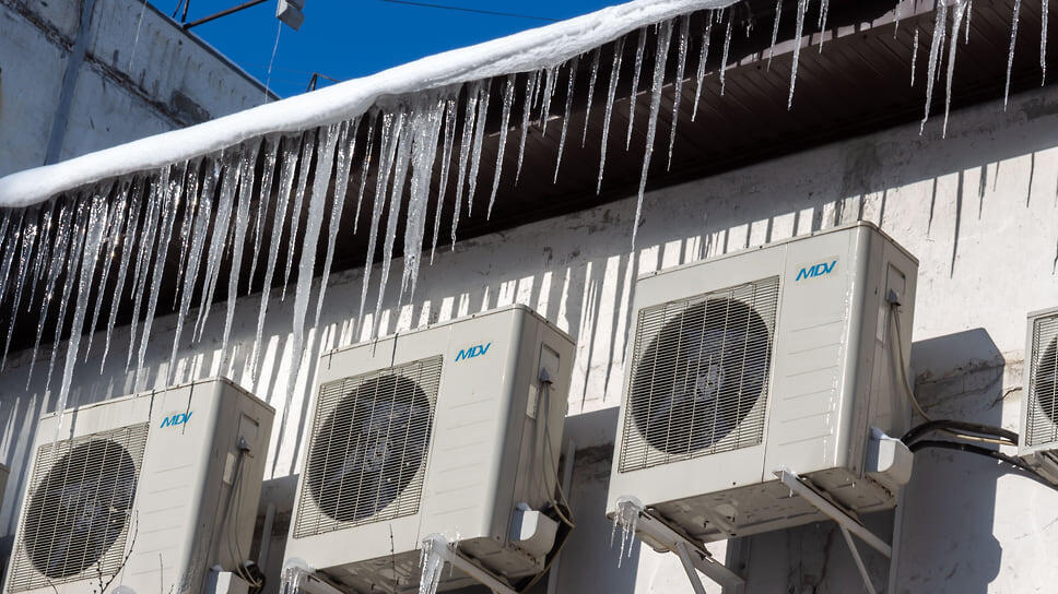 Фото: Константин Франовский / Коммерсантъ