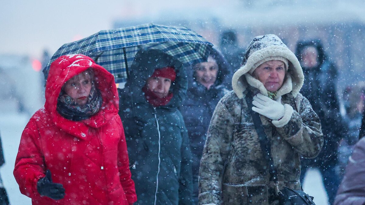    Фото: Belkin Alexey/globallookpress.com