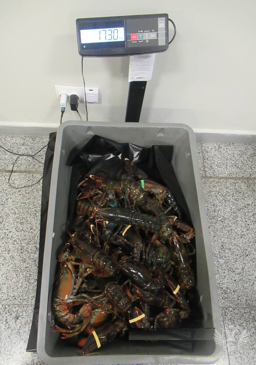    Фото: пресс-служба ФТС