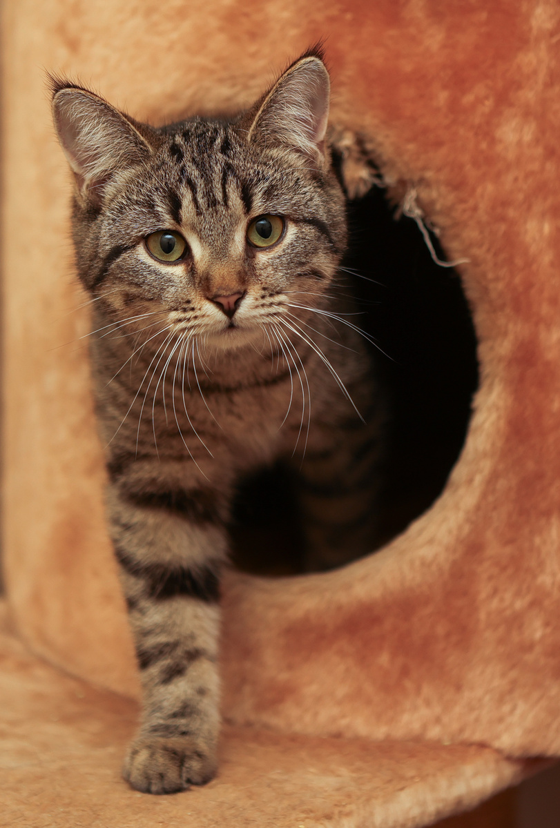 Ух как я тут щечки-то наела!