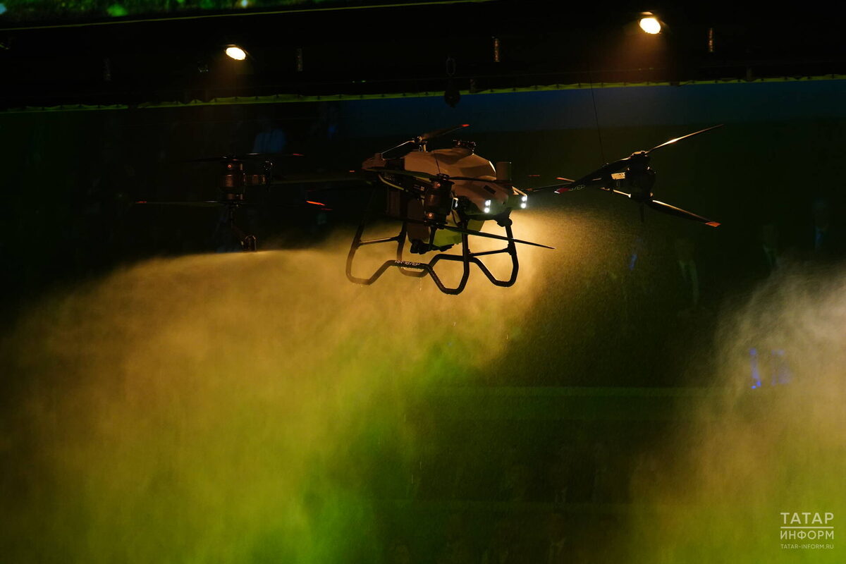 Фото: © Владимир Васильев / «Татар-информ»