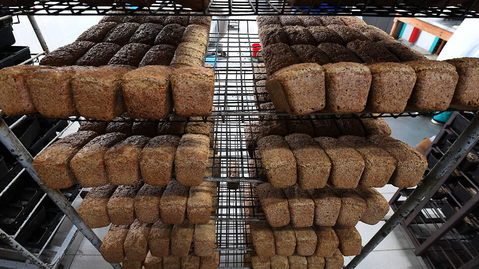 Фото: Виктор Коротаев / Коммерсантъ