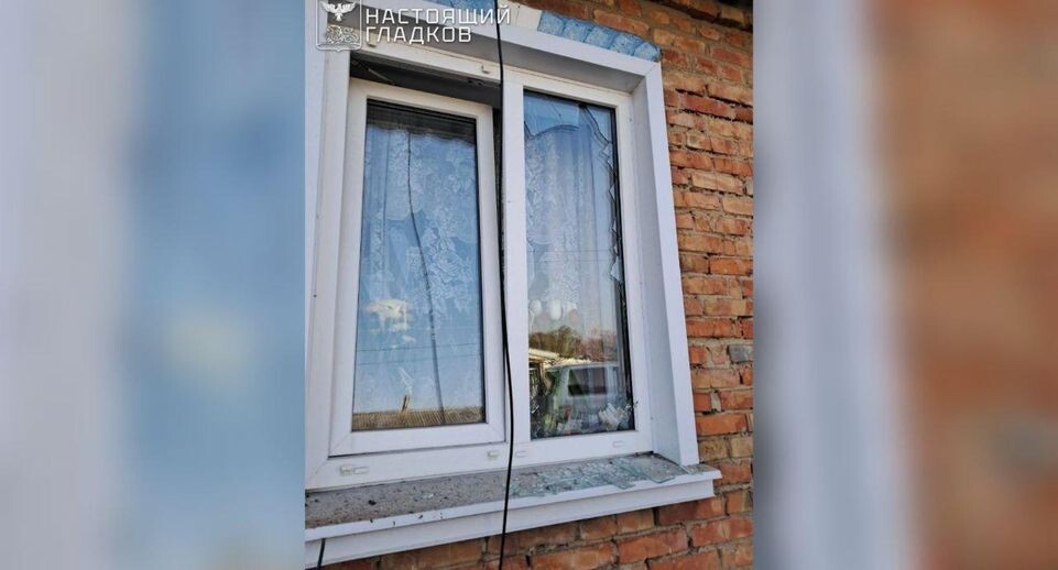    Губернатор Белгородской области Вячеслав Гладков / Telegram