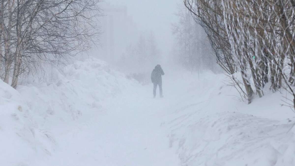    Фото: Андрей Ткачев/«Ямал-Медиа»