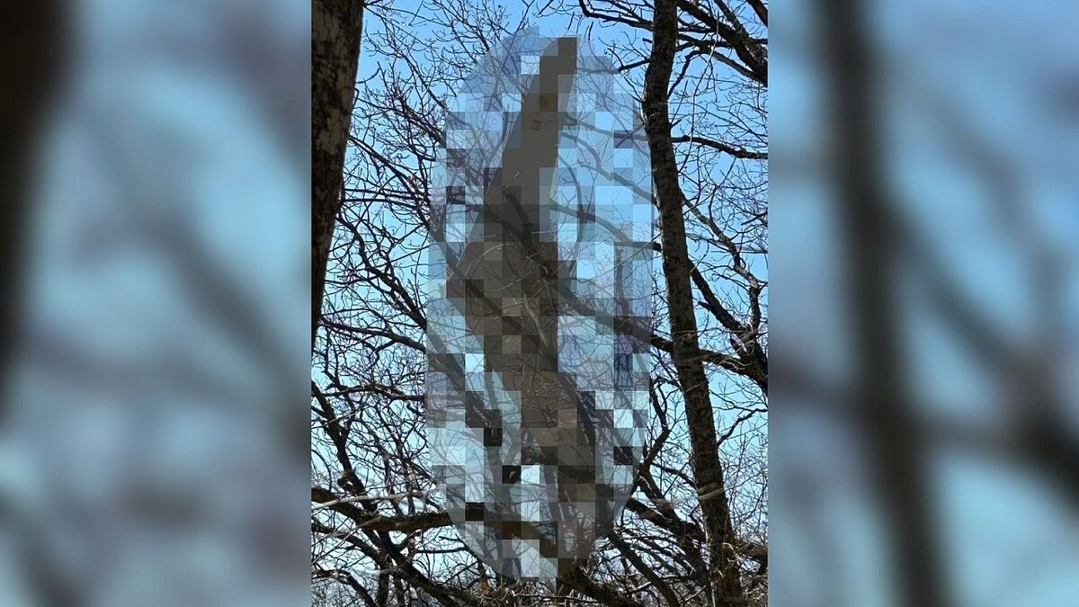    Фото: t.me/lifeabrau