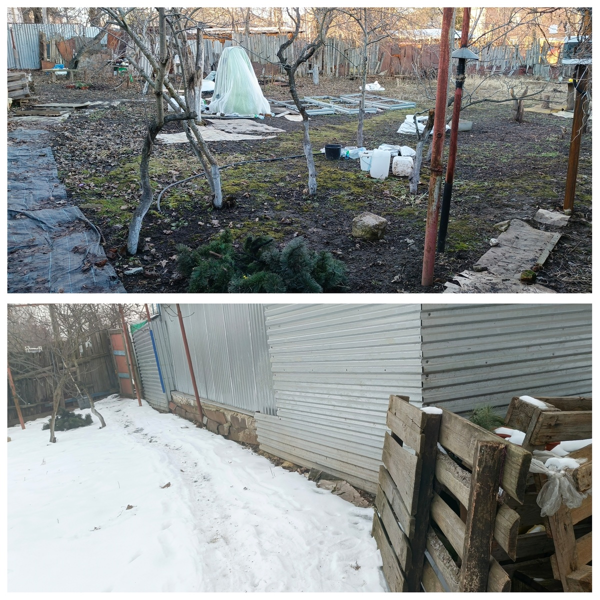 Нижнее фото - понедельник 3 марта, верхнее фото пятница 7 марта 